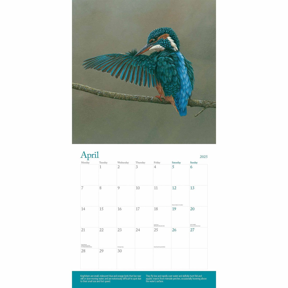 Square Wall Calendar 2025 - British Wildlife in Art by Robert Fuller