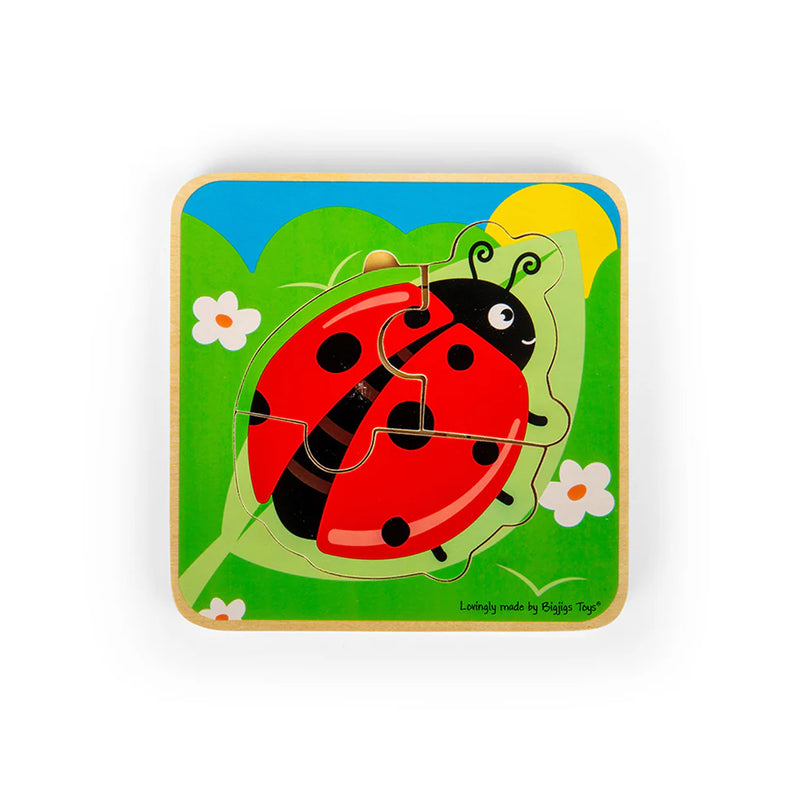 Ladybird layer puzzle