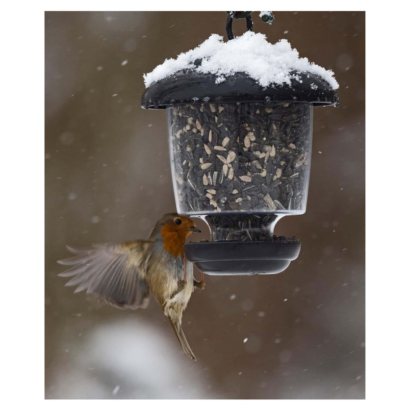 Little Lantern™ Bird Feeder