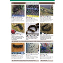 Mammal tracks & signs guide