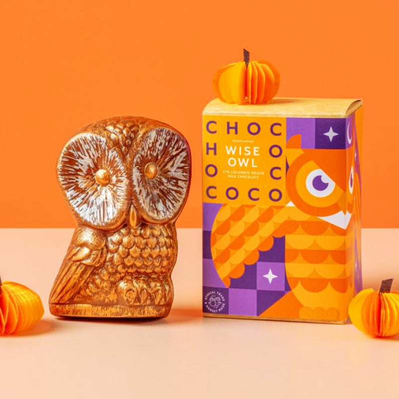 Chococo milk chocolate wise owl