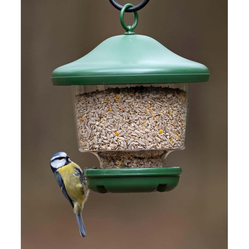 My Favourites™ Small Garden Bird Seed Feeder