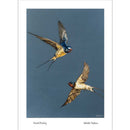 Aerial Poetry Greeting Card by Natalie Toplass