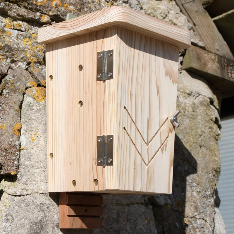 Original bat box