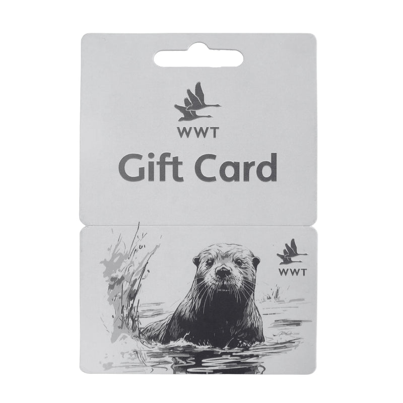 WWT Gift Card