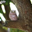 Eugy 3D Owl Model Craft Kit