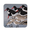 Oystercatchers and Sanderlings Coaster by Sue Welfare