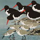 Sue Welfare Oystercatchers and Sanderlings greeting card