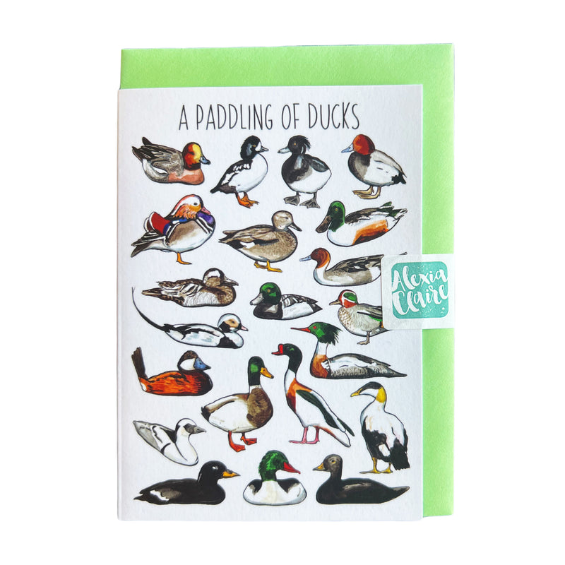 A paddling of ducks greeting card by Alexia Claire