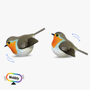 Eugy 3D Robin Model Craft Kit