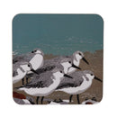 Sanderlings Coaster by Sue Welfare