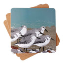 A stack of square tablemats featuring a lino print illustration of several sanderlings on a rocky shore, with a muted teal sky and brown ground.