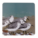 Sanderlings Tablemat by Sue Welfare