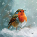 Snowy Redbreast Robin Christmas Cards