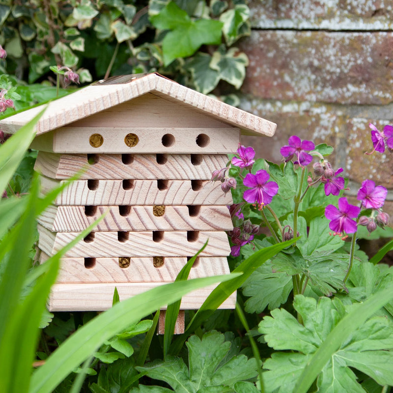 Solitary bee hive