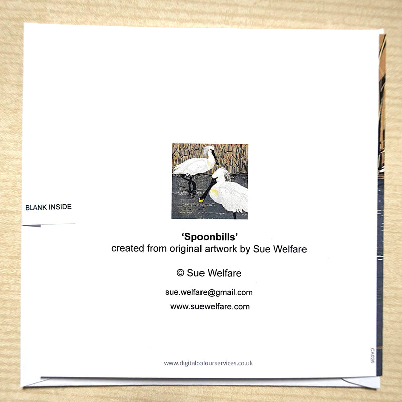 Sue Welfare Spoonbills greeting card