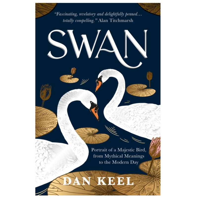 Swan : Portrait of a Majestic Bird, from Mythical Meanings to the Modern Day