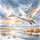 Swans in Flight Christmas Cards
