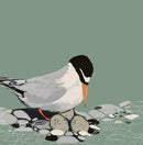 Sue Welfare Hope greeting card