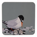 A square coaster with rounded corners featuring a stylized illustration of a tern bird standing on rocks with eggs against a gray background.