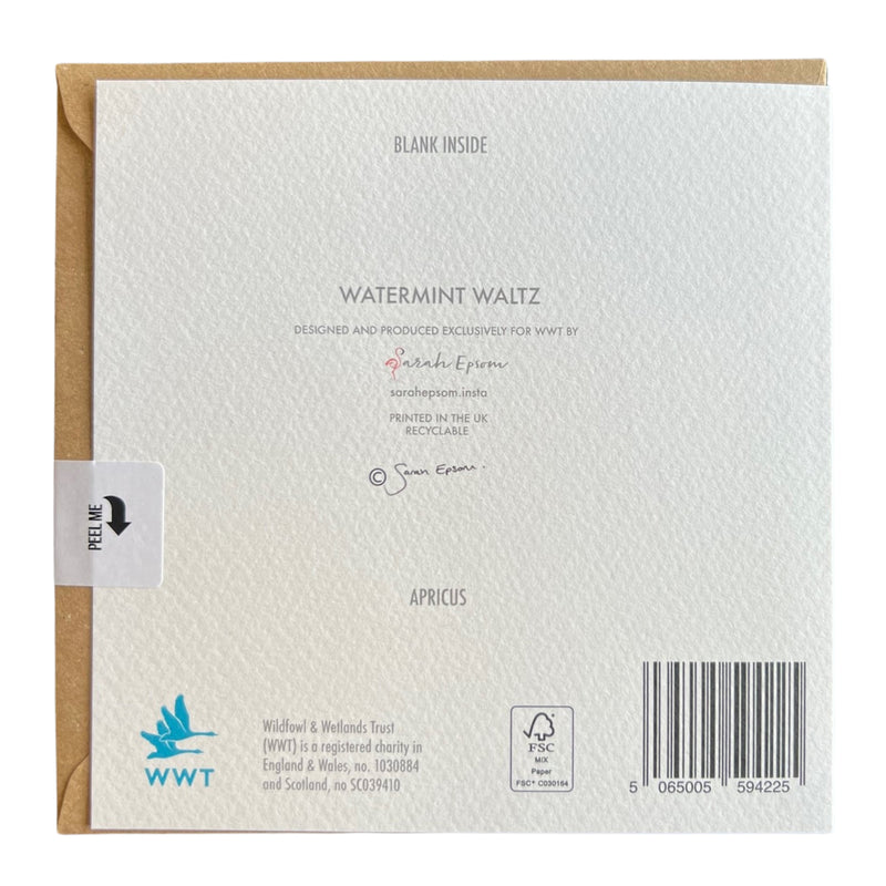 Watermint Waltz greeting card by Sarah Epsom