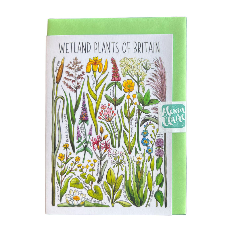 Wetland plants of Britain greeting card by Alexia Claire