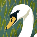 Sue Welfare Whooper Swan greeting card