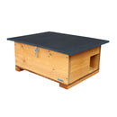 Green Feathers WiFi Hedgehog Box HD Camera pack