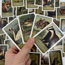 Wildlife Pairs memory card game with 18 illustrated British animals and educational wildlife information.
