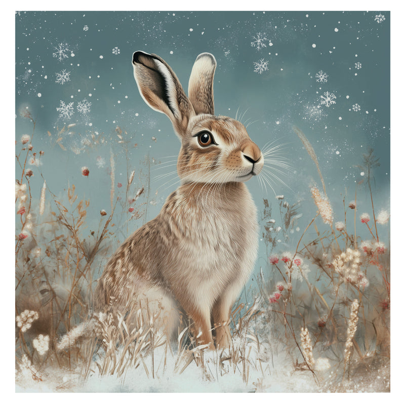 Winter Hare Christmas Cards