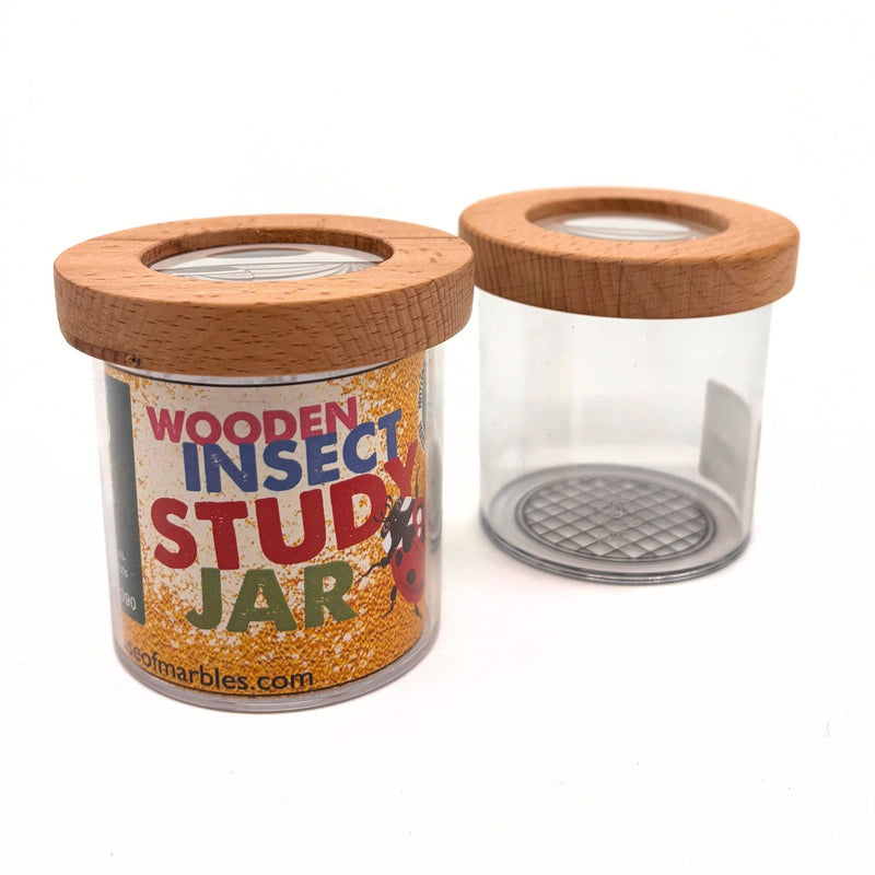 Wooden Insect Study Jar | Nature Exploration for Kids | WWT