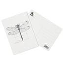 Dragonfly postcard A6, Scientific sketch