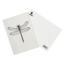Dragonfly postcard A6, green pencil