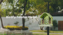 Birdfy feeder metal with AI