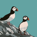 Puffins greeting card