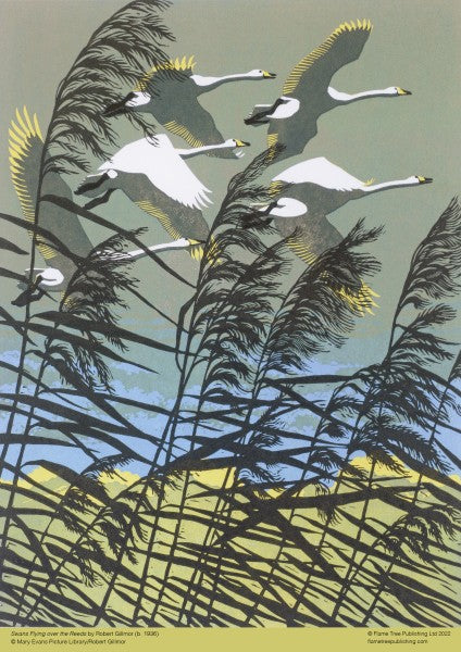 Robert Gillmor: Swans Flying over the Reeds puzzle 500 pce