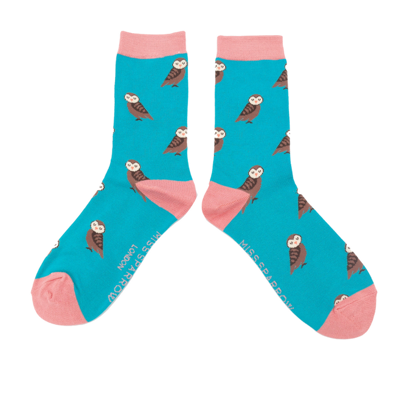 Ladies cute owl socks - Turquoise