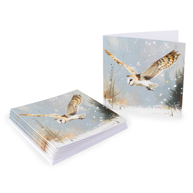 Snowy barn owl Christmas cards