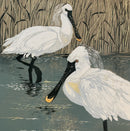 Sue Welfare Spoonbills greeting card
