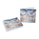 A stack of square greeting cards and a single card displayed on a white background, both printed with a watercolor-style winter scene of swans flying over a marsh under a starry sky.
Exclusive to WWT.