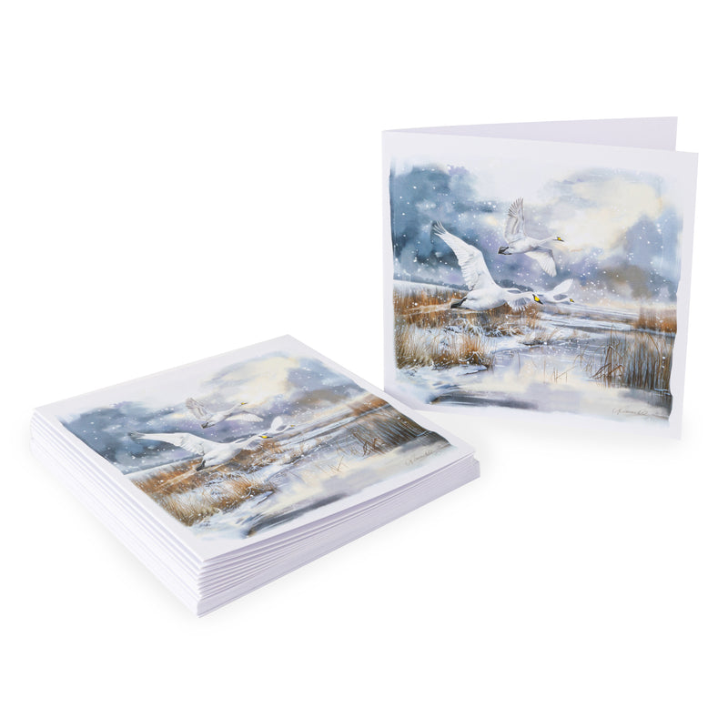 Swans over wetland Christmas cards