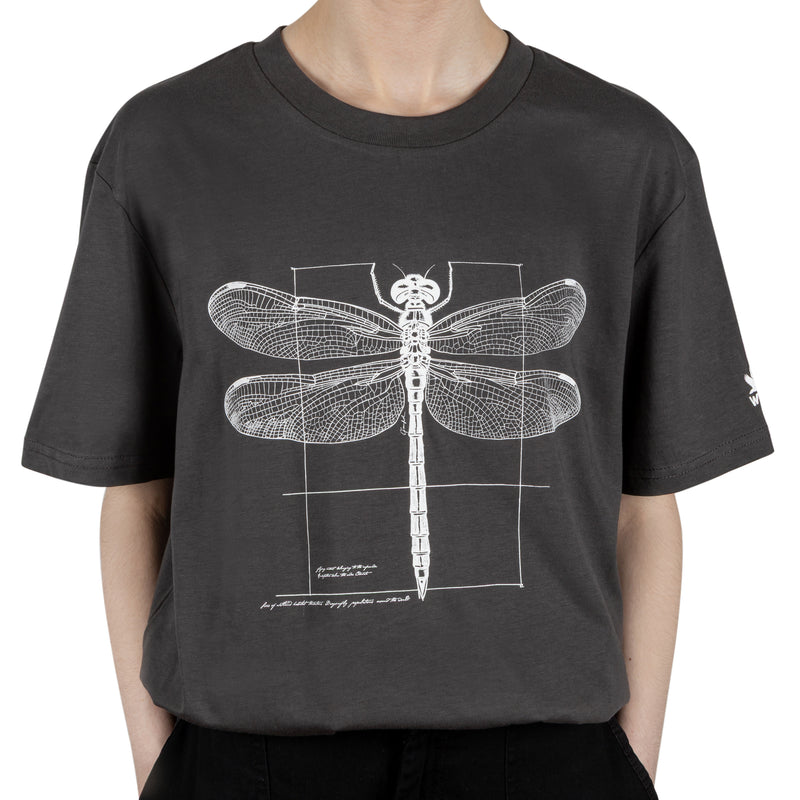 Adult Anthracite Dragonfly T-Shirt