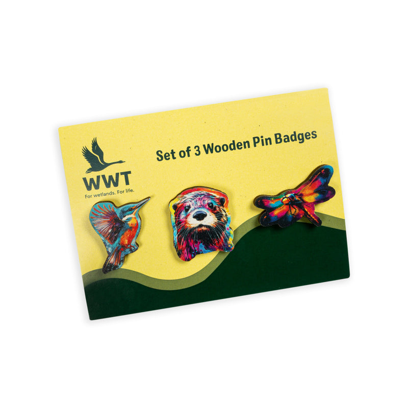 WWT Set of three wooden pin badges including an otter. kingfisher and dragonfly