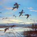 Teal flight before sunrise greetings card