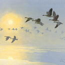 Pinkfeet across the soleway greeting card