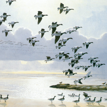 When the tide turned, Brent geese greetings card