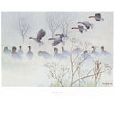 Ground Mist - Pinkfeet