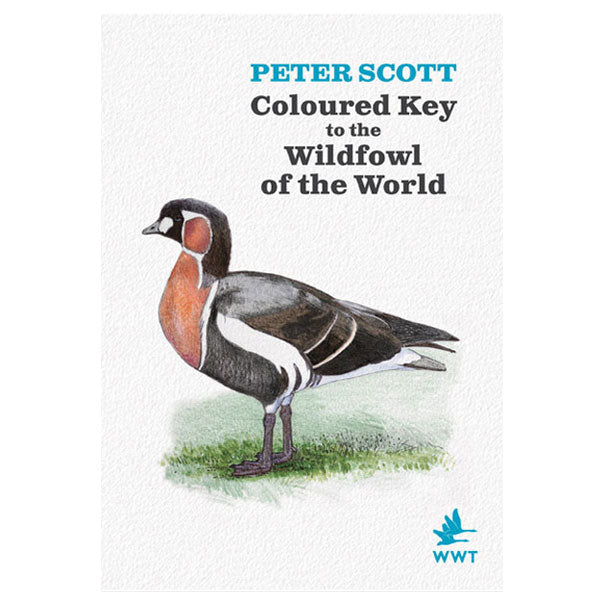 Peter Scott Coloured Key to the Wildfowl of the World