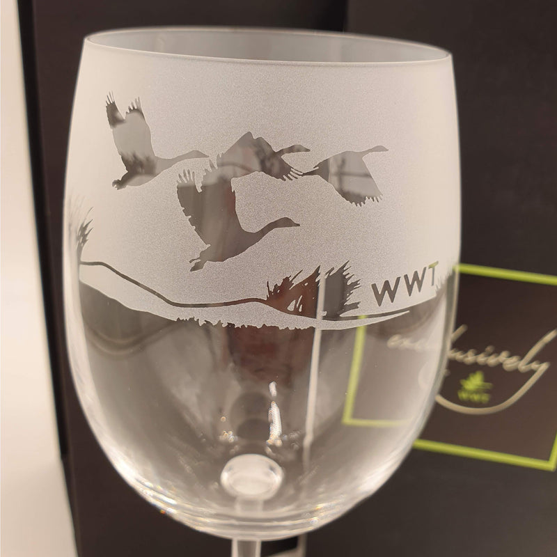 Wine glass, swan in reeds