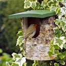 Birch log open nest box